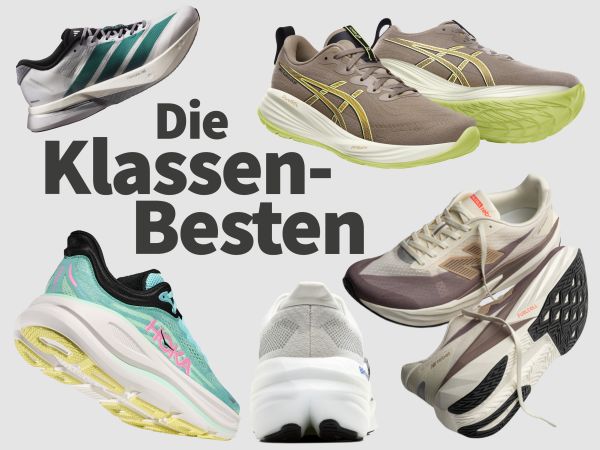 Laufschuhe im Test bei torvexulnux.info